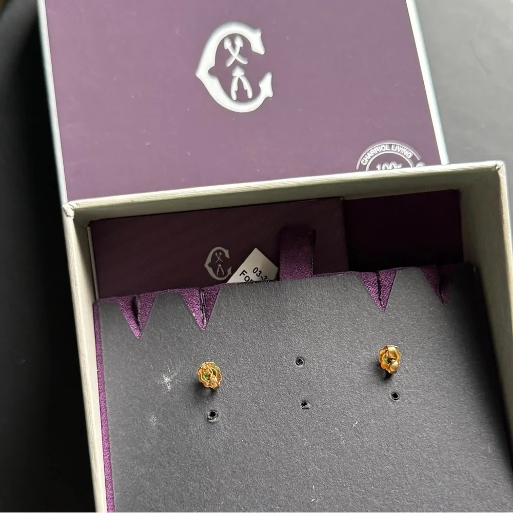 🔆 CHARRIOL Forever Slim steel earrings - Picture 3 of 4